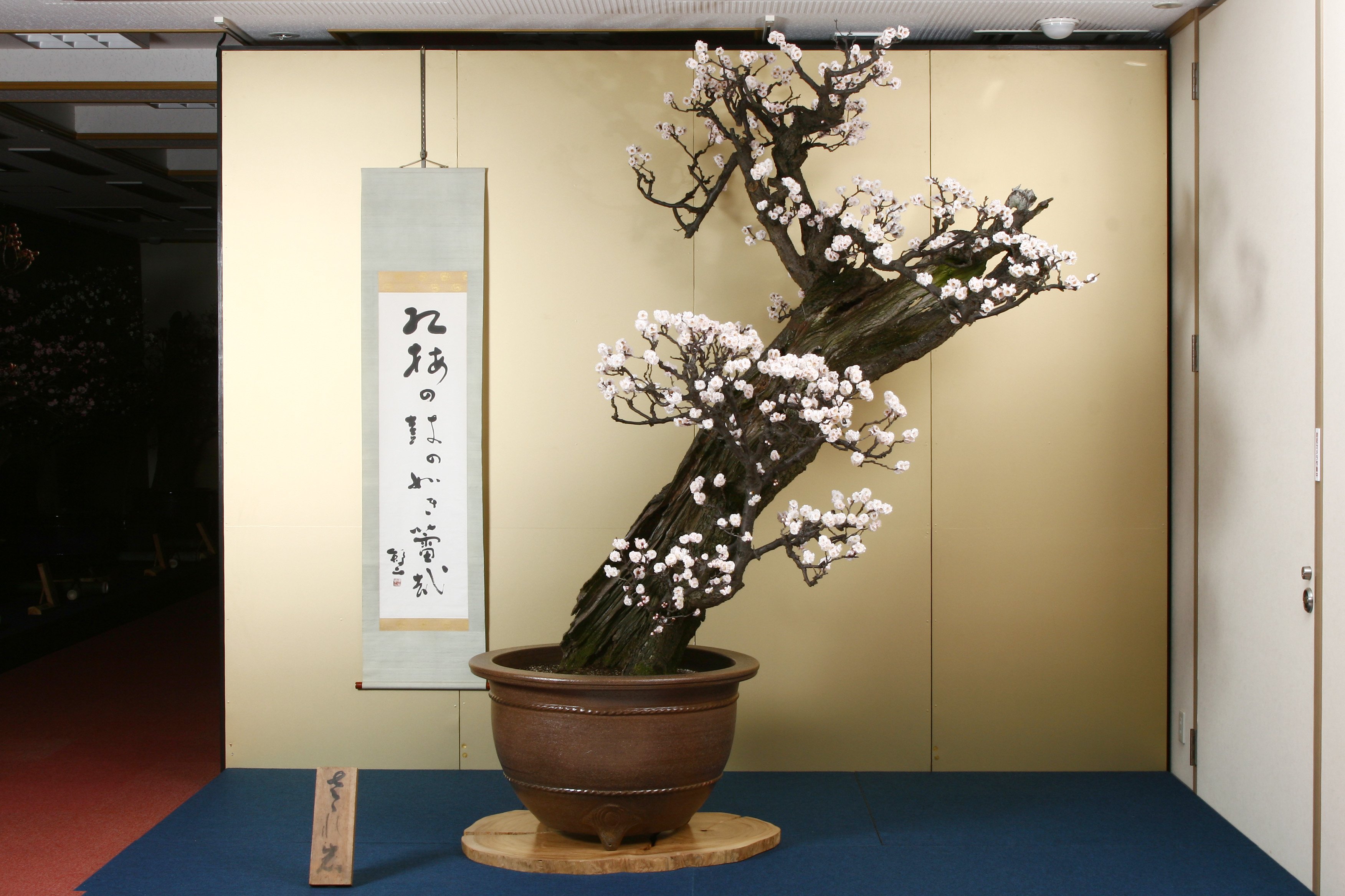 🛍️ 검은 벽 광장(구로카베 스퀘어) 이미지 8